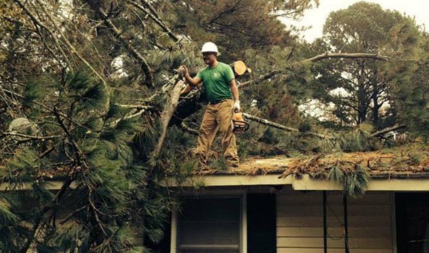 Storm Clean-Up